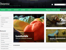 Tablet Screenshot of leoholds.com